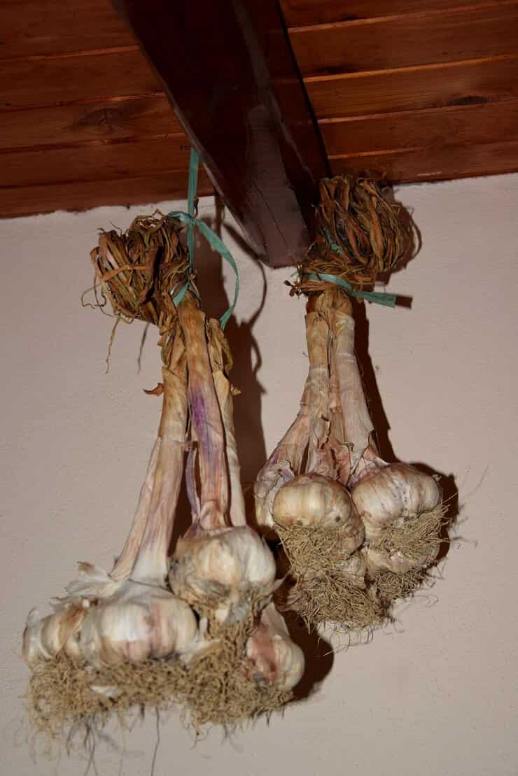 تصویر 5 از پیاز خشک خانگی با عطر و طعم طبیعی برای انواع غذا ها